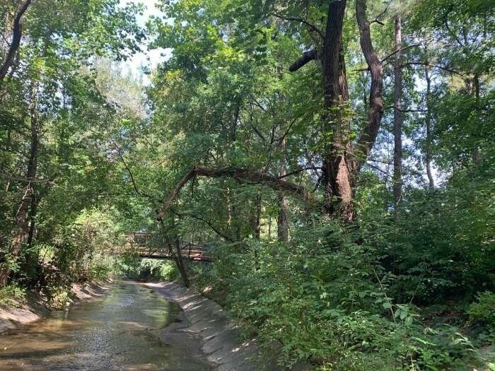 Cavalier Trail Park falls church virginia