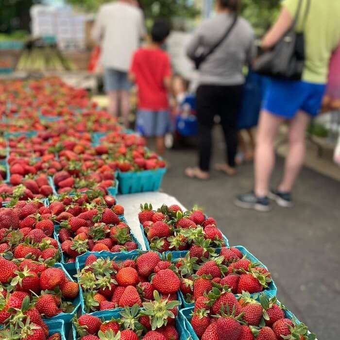 Falls Church Farmers Market falls church virginia