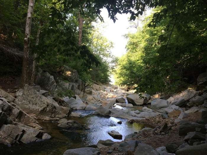 Scotts Run Nature Preserve